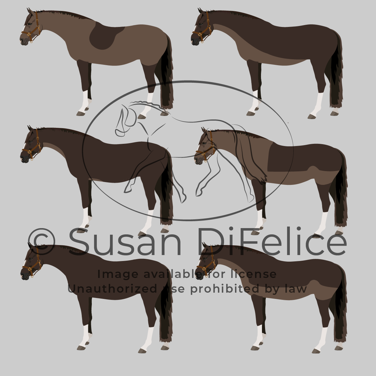 horse-body-clip-types-susan-difelice