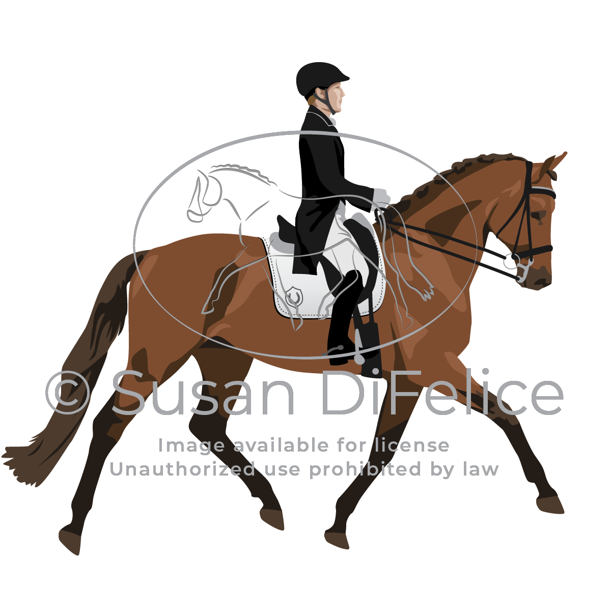 Dressage Horse & Rider - Susan DiFelice